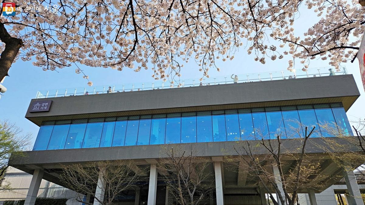 Gangbyeon Seojae: A Hidden Riverside Sanctuary for Books and Coffee