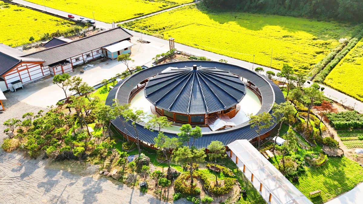 Nogyeongbo Charapa: A Zen Hanok Cafe with Field Views